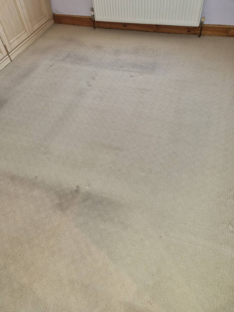 Professional cleaning service in Shoreditch - Result 1