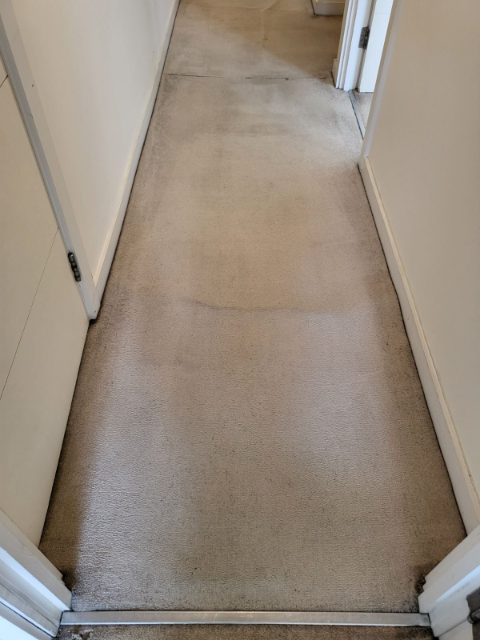Professional cleaning service in Waltham Forest - Result 6