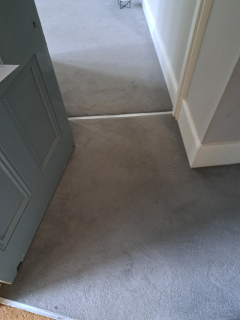 Professional cleaning service in Willesden - Result 4