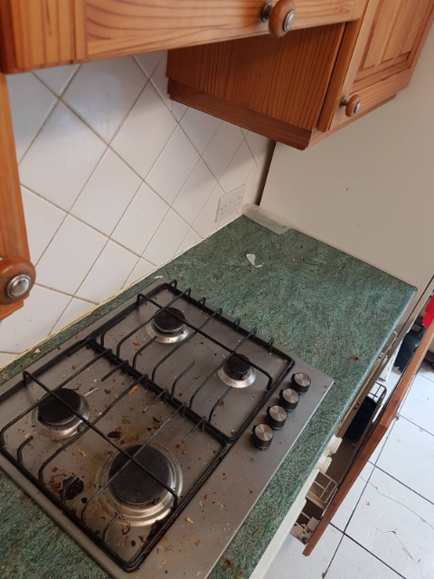Professional cleaning service in Catford - Result 3