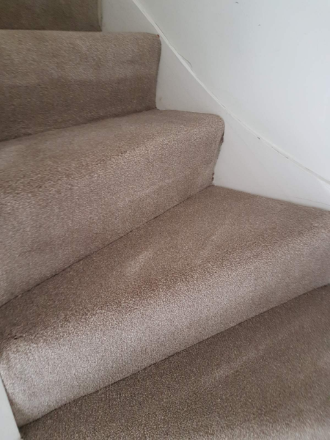 Professional cleaning service in Forest Gate - Result 4