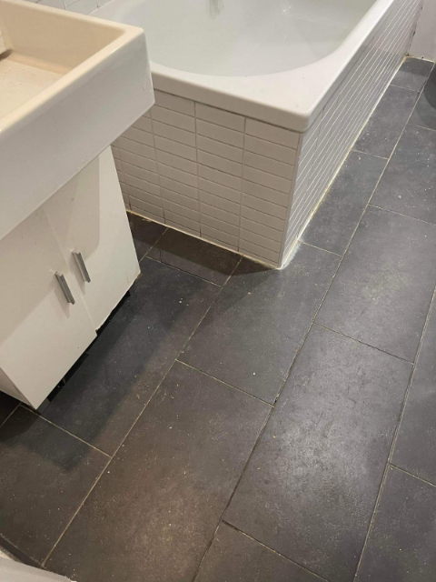Professional cleaning service in Ealing - Result 3