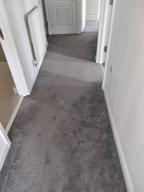 Professional cleaning service in Westminster - Result 1