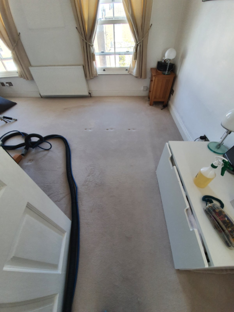 Professional cleaning service in Thurrock - Result 4