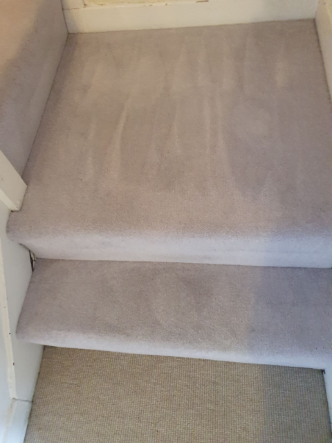 Professional cleaning service in Chingford - Result 4
