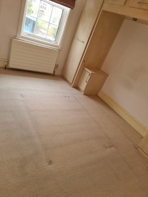 Professional cleaning service in Sutton - Result 6