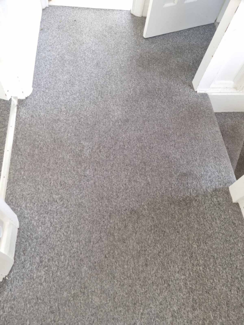 Professional cleaning service in Bromley - Result 4