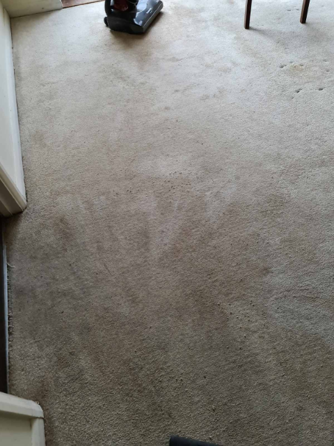 Professional cleaning service in Twickenham - Result 3