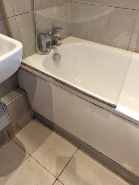 Professional cleaning service in Waltham Forest - Result 1