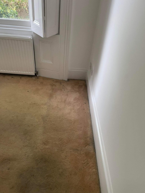 Professional cleaning service in Leyton - Result 6