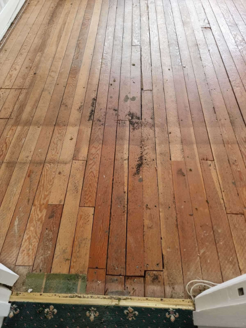 Professional cleaning service in Wallington - Result 1