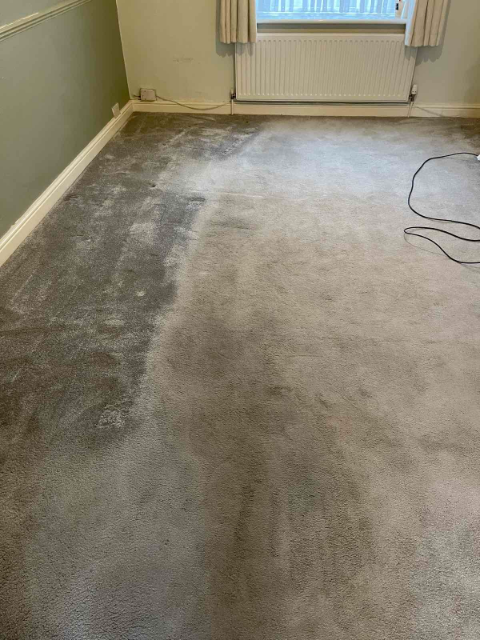 Professional cleaning service in Tottenham - Result 1