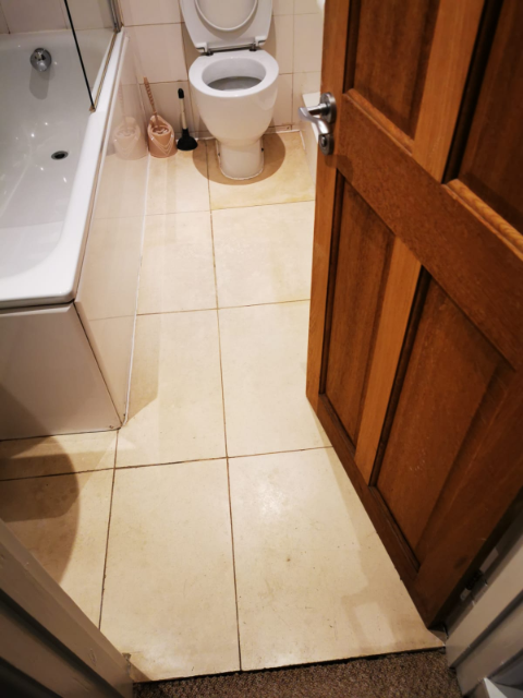 Professional cleaning service in Weybridge - Result 6
