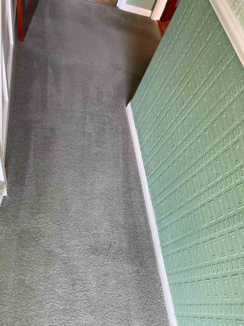 Professional cleaning service in Barnet - Result 2