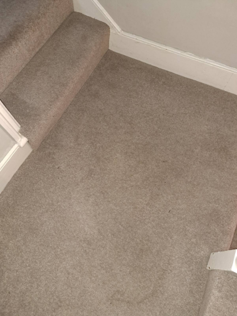 Professional cleaning service in Hackney - Result 1