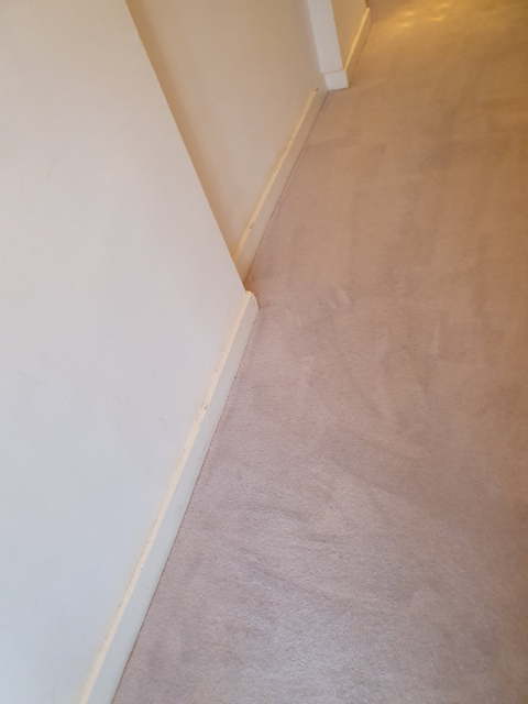 Professional cleaning service in Forest Gate - Result 5