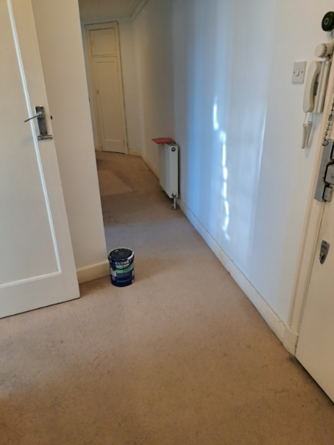 Professional cleaning service in Homerton - Result 4