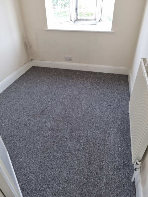 Professional cleaning service in Stepney - Result 3